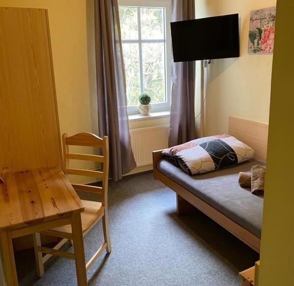 חדר סטנדרט יחיד, Pension V Pohodě