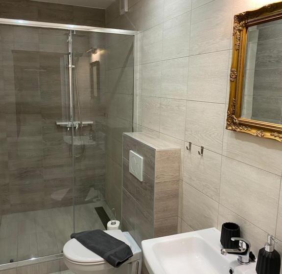 חדר סטנדרט עם מרפסת, Pension V Pohodě