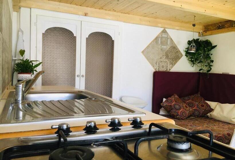 Студия Стандарт, B&b Shardana