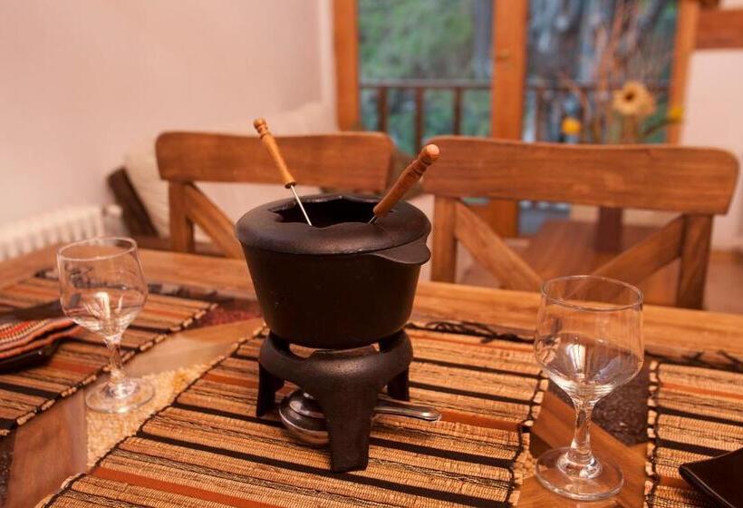 آپارتمان 2 خوابه, Cabañas Rucaleufu