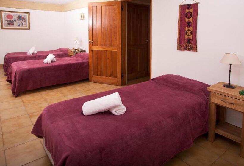 آپارتمان 2 خوابه, Cabañas Rucaleufu