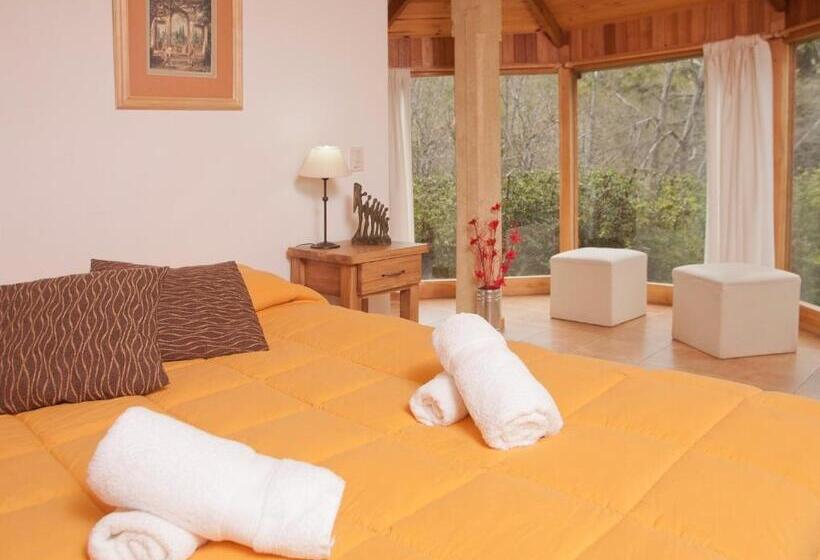 آپارتمان سوپریور 2 خوابه, Cabañas Rucaleufu