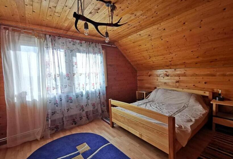 اتاق استاندارد, Jugul țăranului Agropensiune Polovragi, Gorj