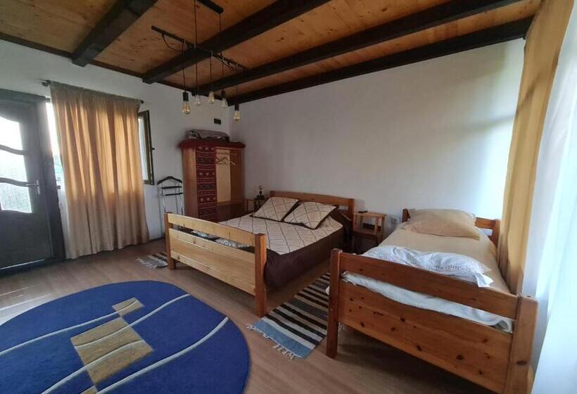 スタンダードトリプルルーム, Jugul țăranului Agropensiune Polovragi, Gorj