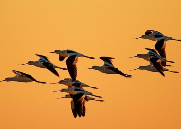 Апартаменты 1 Спальня Вид на Море, Dockside Daze!