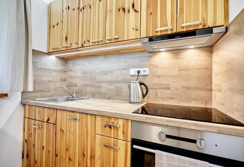 带1个卧室的公寓, Pension Barborka