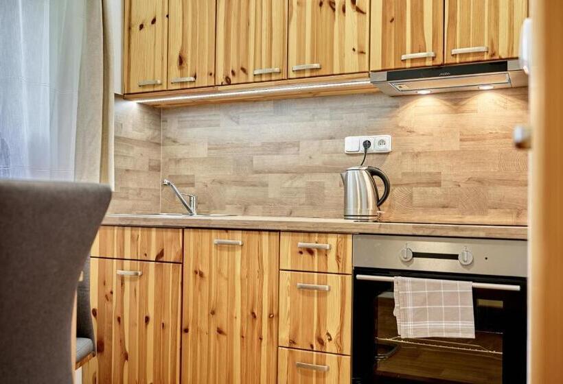 带1个卧室的公寓, Pension Barborka