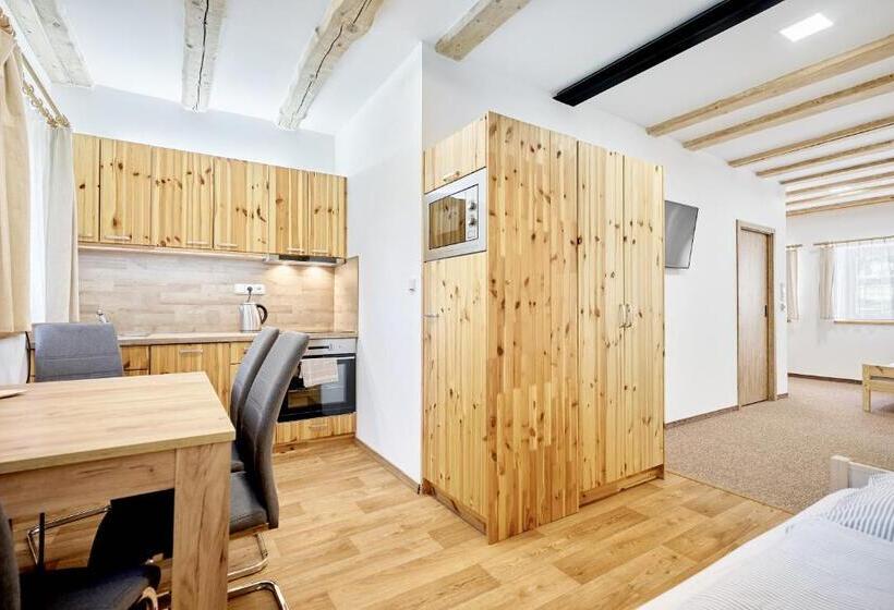 带1个卧室的公寓, Pension Barborka