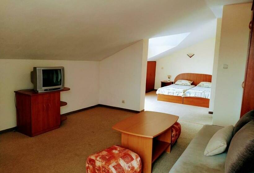 스탠다드 스튜디오, Solis