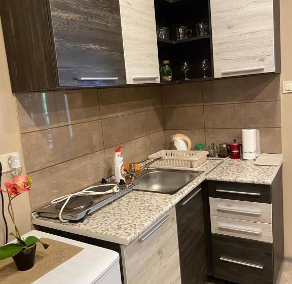 סטודיו משפחתי, Aranyfürt Vendégház