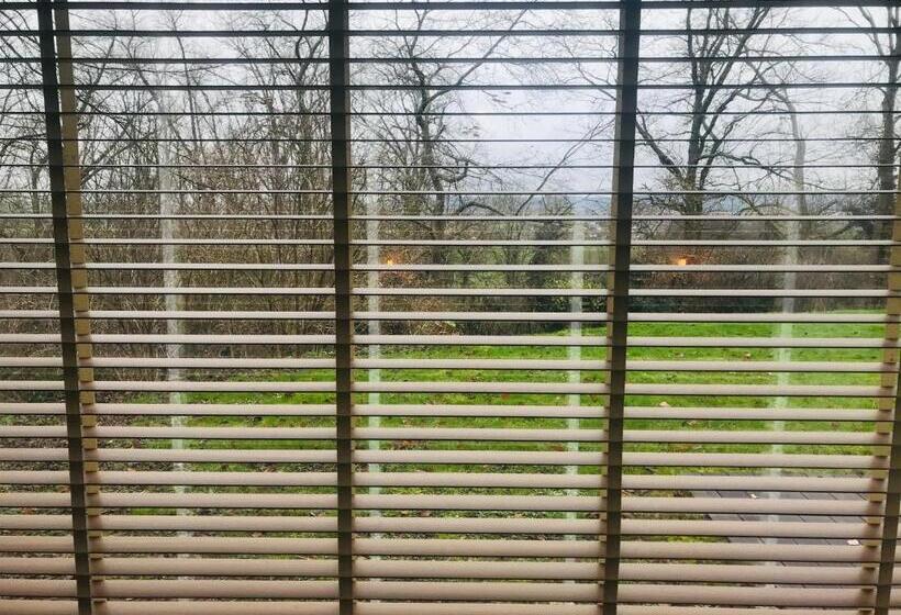 디럭스 방갈로, Panacée Guesthouses