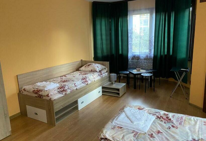 اتاق استاندارد چهار تخته, Vesi S Rooms