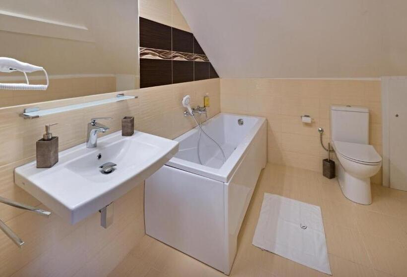 Номер Стандарт, Zámek Wichterle   Hotel A Pivní Lázně