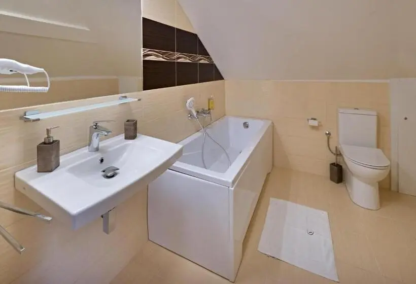 スタンダードルーム, Zámek Wichterle   Hotel A Pivní Lázně