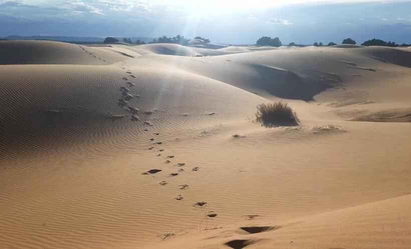 スタンダードシングルルーム, Guests House