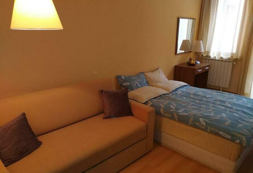 标准工作室带阳台, Studio Villa Park 207