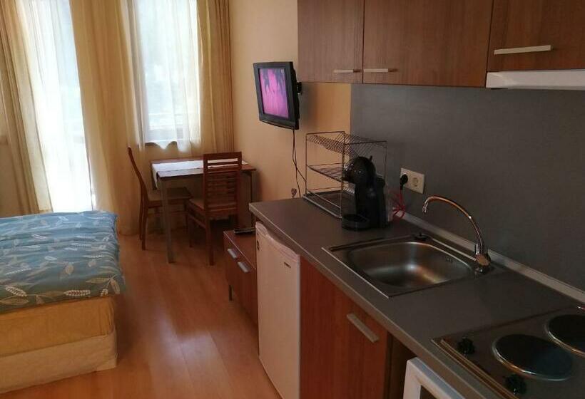 Estudio Estándar con Balcón, Studio Villa Park 207