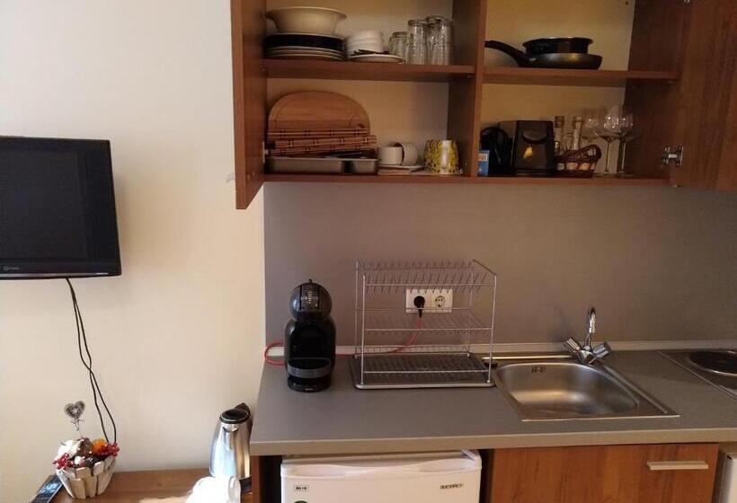 Estudio Estándar con Balcón, Studio Villa Park 207