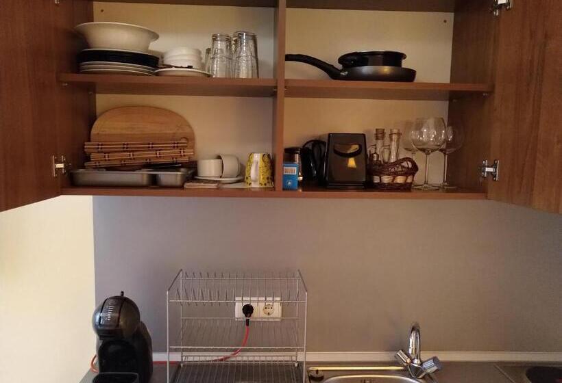 标准工作室带阳台, Studio Villa Park 207