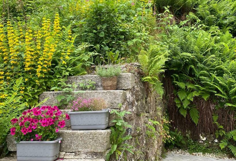 דירת חדר, Vila Jáchymov