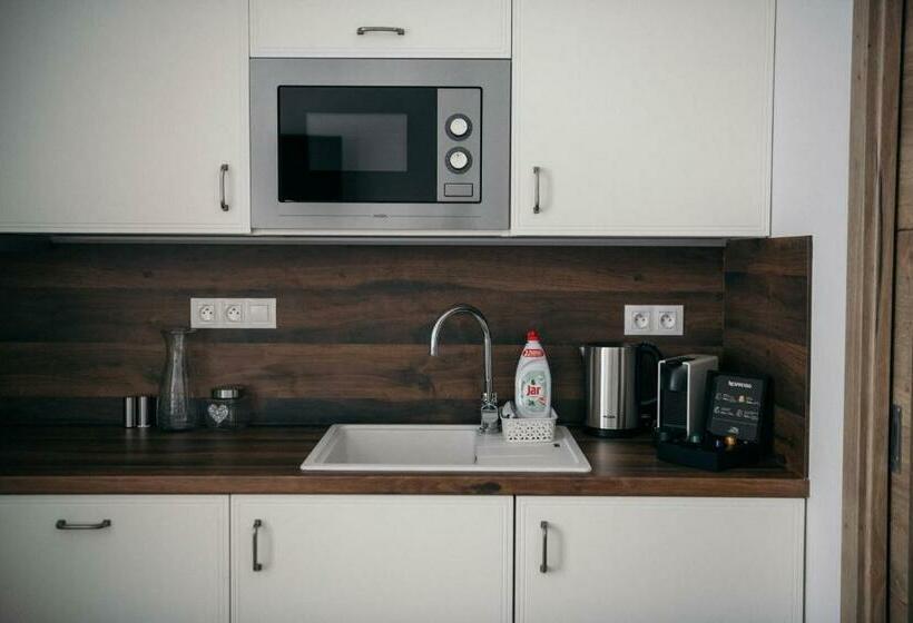 דירת חדר, Vila Jáchymov