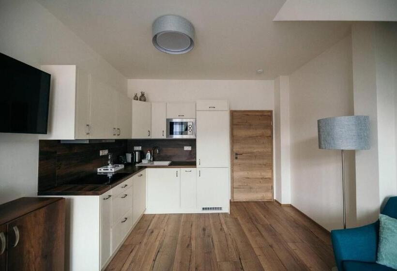 דירת שלושה חדרים, Vila Jáchymov