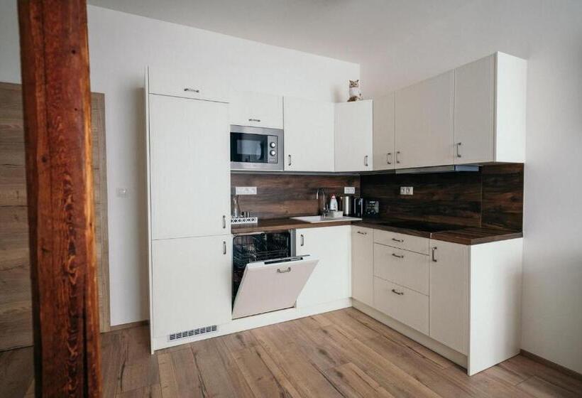 דירת שני חדרים, Vila Jáchymov