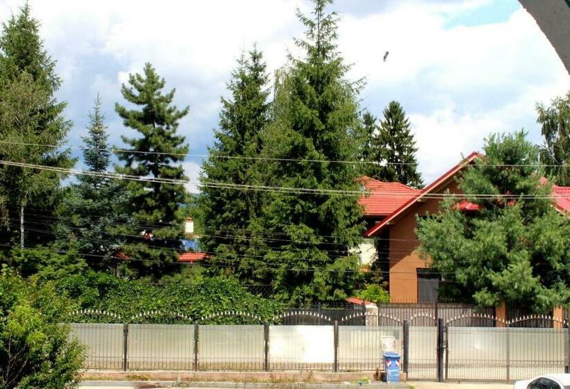 Стандартный Номер Кровать Кинг, Anuța