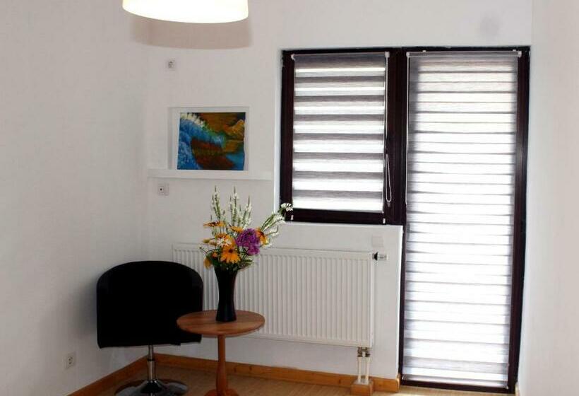 キングサイズベッドのスタンダードルーム, Anuța