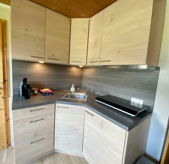 침실 1개 발코니 아파트, Haus Tirol Ehrwald