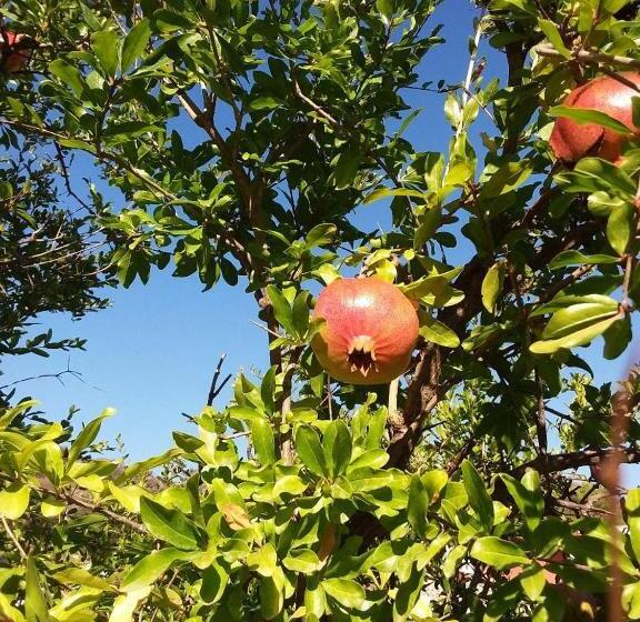 Номер Deluxe, B&b Il Melograno