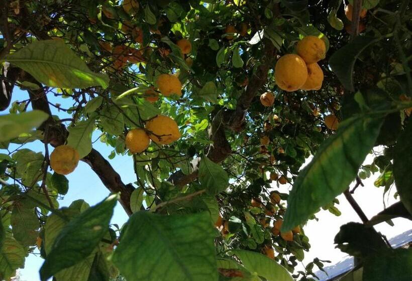 חדר דחוקס עם מיטת קינג, Lumie Di Sicilia