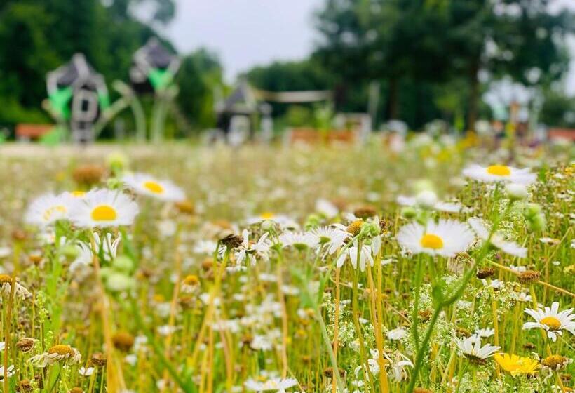 침실 1개 테라스 아파트, Gyöngy Apartman