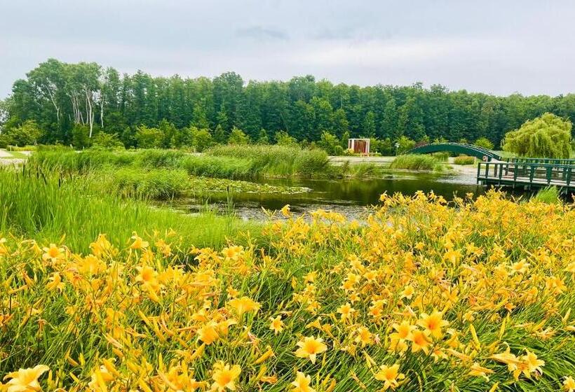 침실 1개 테라스 아파트, Gyöngy Apartman