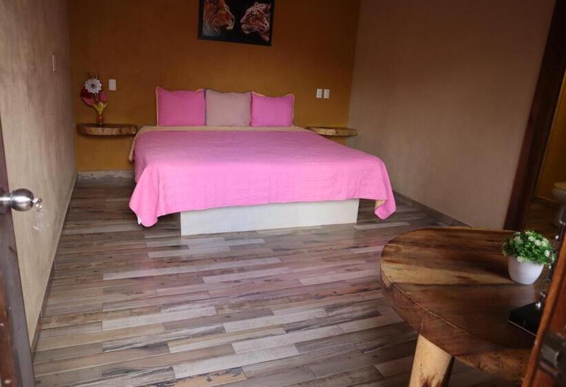 غرفة قياسية, Playa Sayulita