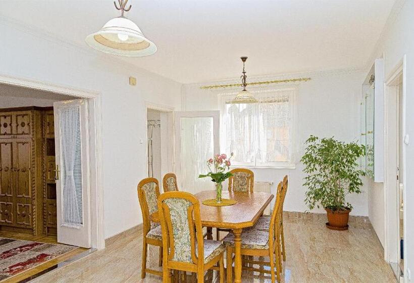 Апартаменты 1 Спальня Нижний Этаж, Csontos Vendégház