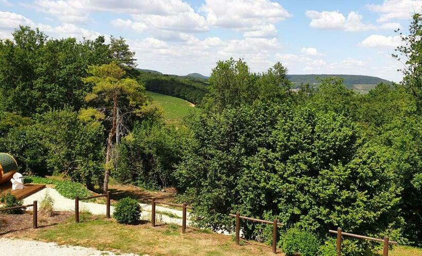 بنجلو قياسى, Les Tonneaux Bourguignons Du Carré Saint Pierre