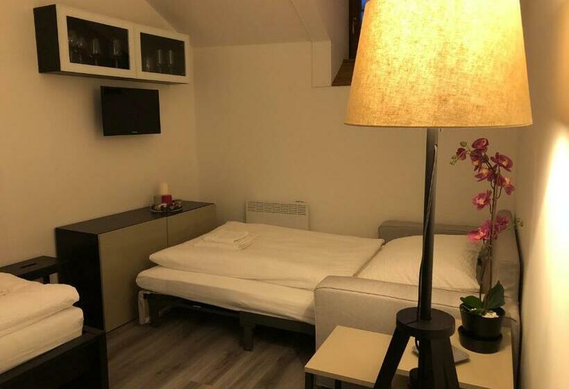 스탠다드 싱글 룸, Pension Na Starém Náměstí