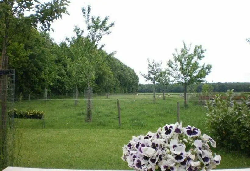 ガーデンビューデラックスルーム, Pipowagen Lidewei Groningen Westerwolde Unieke Ligging Met Eigen Tuin En Vrij Uitzicht Over Veld Naa
