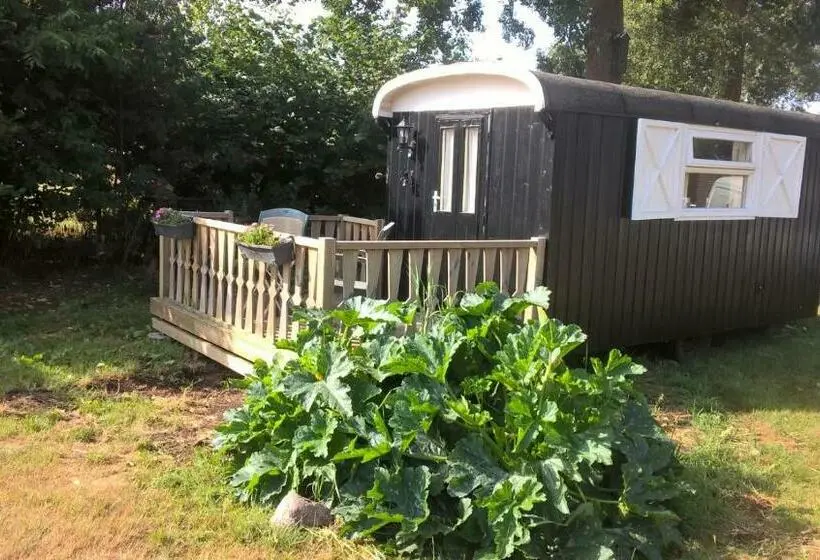 ガーデンビューデラックスルーム, Pipowagen Lidewei Groningen Westerwolde Unieke Ligging Met Eigen Tuin En Vrij Uitzicht Over Veld Naa