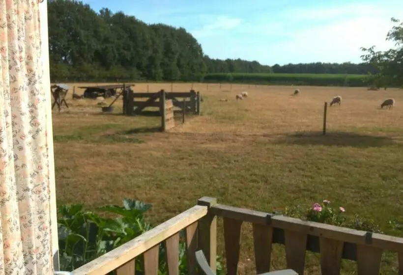 ガーデンビューデラックスルーム, Pipowagen Lidewei Groningen Westerwolde Unieke Ligging Met Eigen Tuin En Vrij Uitzicht Over Veld Naa