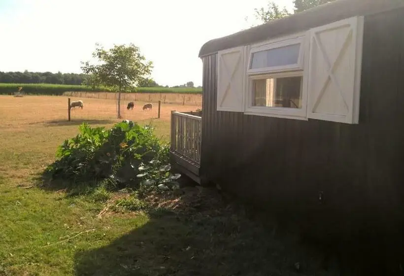 ガーデンビューデラックスルーム, Pipowagen Lidewei Groningen Westerwolde Unieke Ligging Met Eigen Tuin En Vrij Uitzicht Over Veld Naa