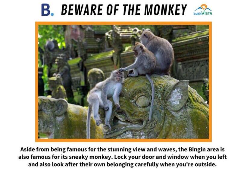 اتاق استاندارد, Kembang Kuning