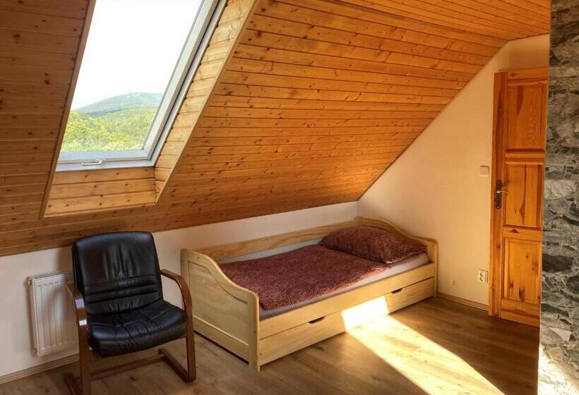 شقة غرفة واحدة ذات إطلالة, Pension Pošta