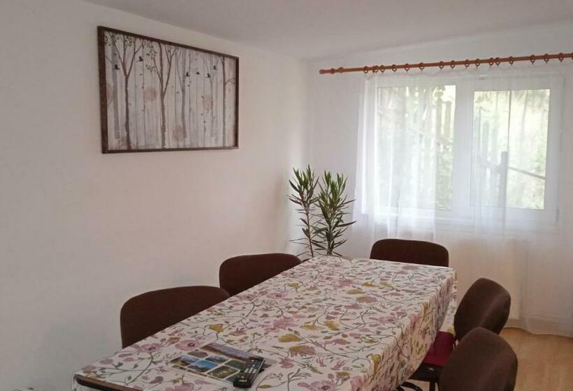 غرفة قياسية, Casa Zura