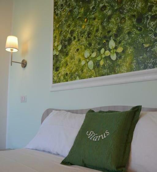 سوییت جونیور با بالکن, Silarus B&b