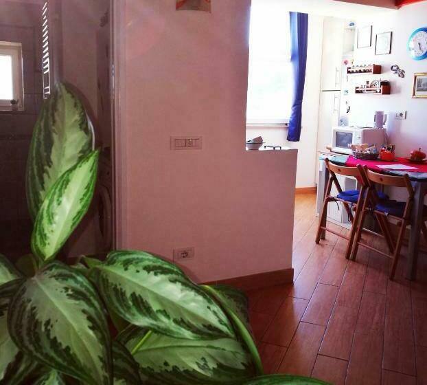 スーペリアスタジオ, B&b Adele