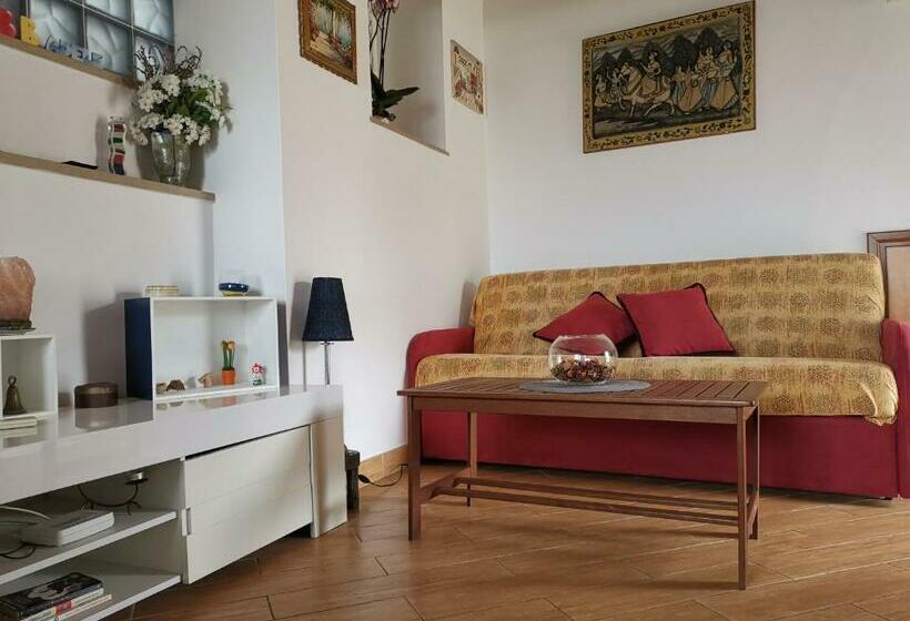 スーペリアスタジオ, B&b Adele