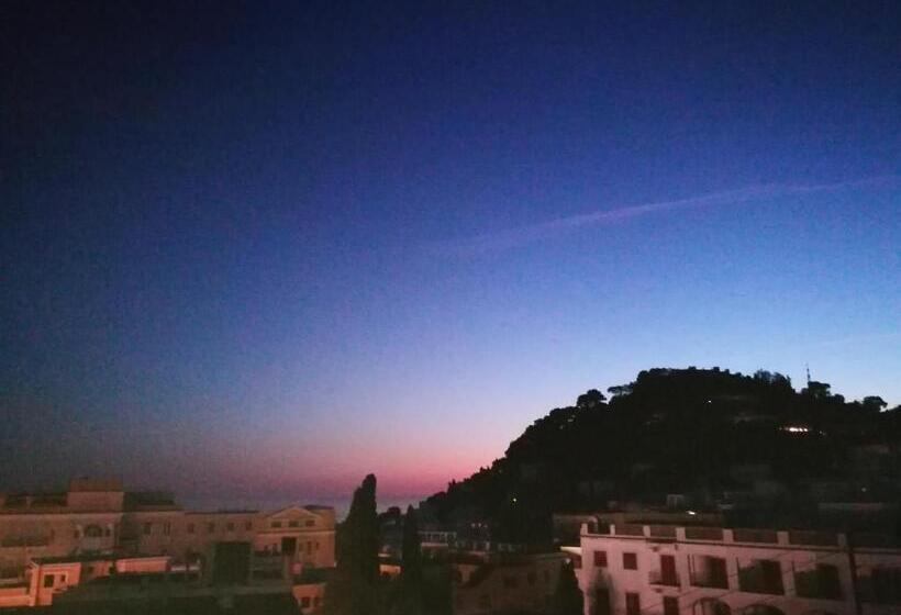 استودیوی سوپریور, B&b Adele