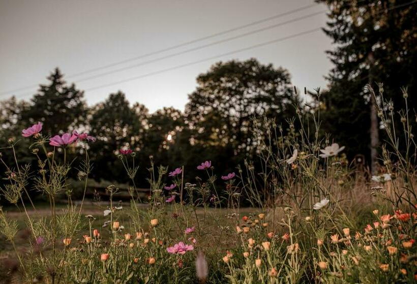 شقة غرفة واحدة, Pension Styl